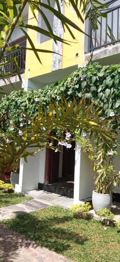 Mandara Rest Bed & Breakfast Hikkaduwa Exterior photo