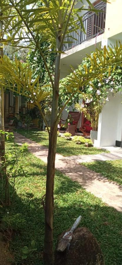 Mandara Rest Bed & Breakfast Hikkaduwa Exterior photo