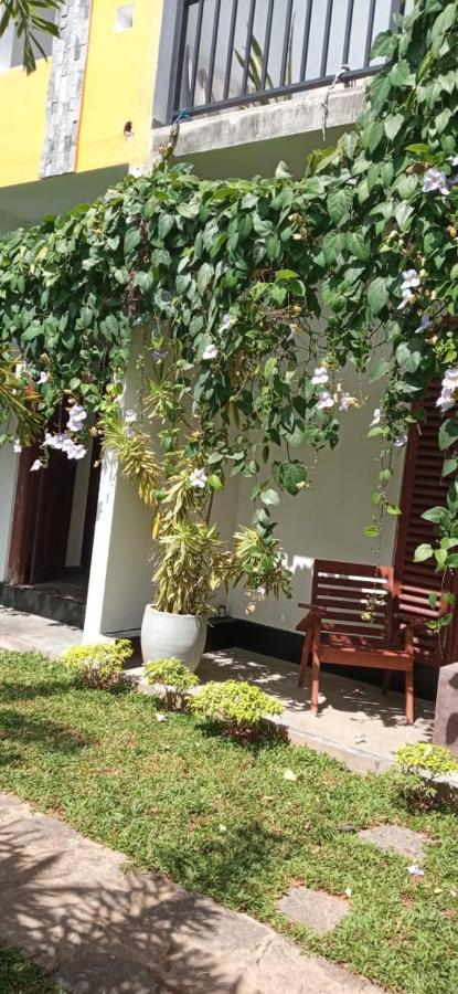 Mandara Rest Bed & Breakfast Hikkaduwa Exterior photo