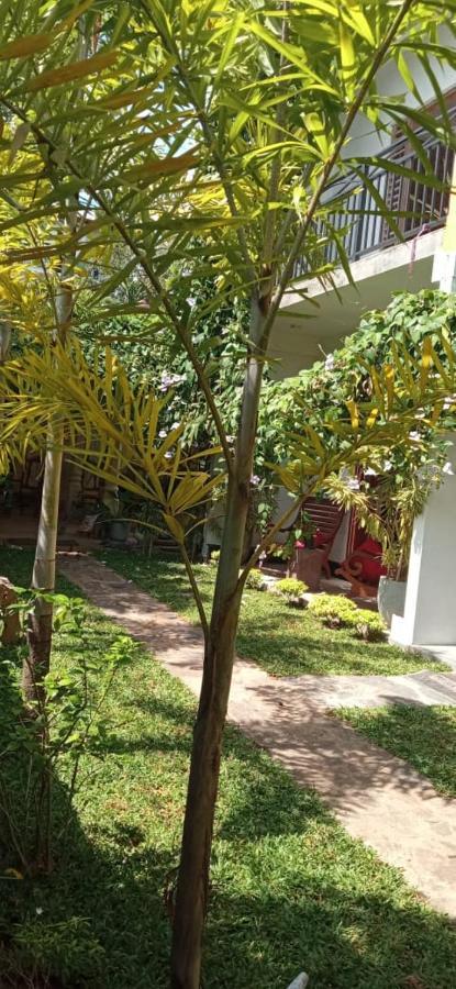 Mandara Rest Bed & Breakfast Hikkaduwa Exterior photo