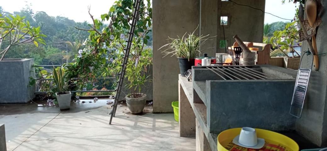 Mandara Rest Bed & Breakfast Hikkaduwa Exterior photo