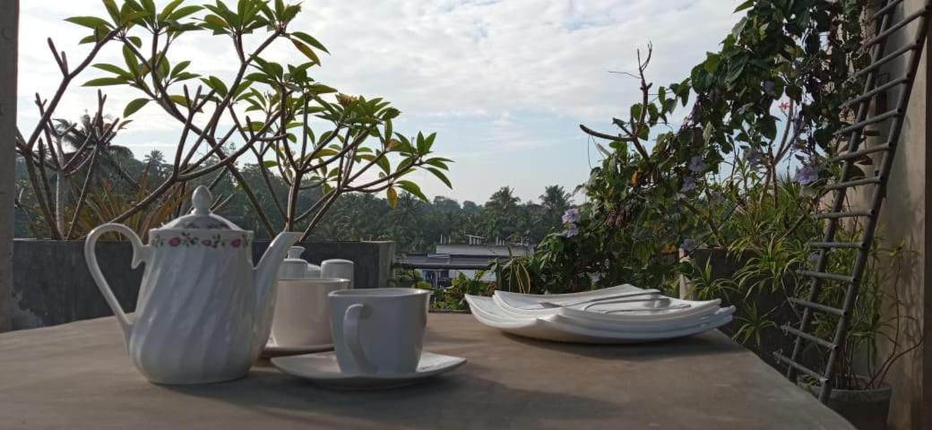 Mandara Rest Bed & Breakfast Hikkaduwa Exterior photo
