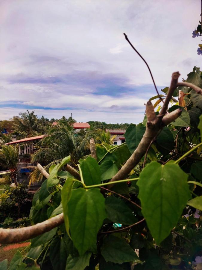 Mandara Rest Bed & Breakfast Hikkaduwa Exterior photo